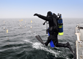 Scuba Diver Enters Water