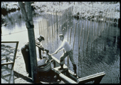 Fish Passage, Old Electric Sea Lamprey Barrier 