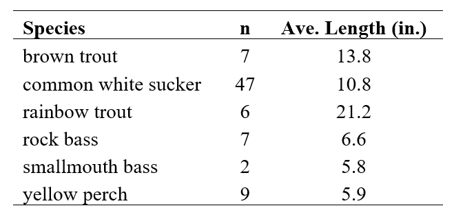 Table showing fish species with corresponding sample size (n) and average length (in inches).
Species listed are:
Brown trout: n = 7, Ave. Length = 13.8 inches.
Common white sucker: n = 47, Ave. Length = 10.8 inches.
Rainbow trout: n = 6, Ave. Length = 21.2 inches.
Rock bass: n = 7, Ave. Length = 6.6 inches.
Smallmouth bass: n = 2, Ave. Length = 5.8 inches.
Yellow perch: n = 9, Ave. Length = 5.9 inches.